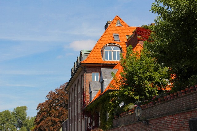 c0153740_34479.jpg