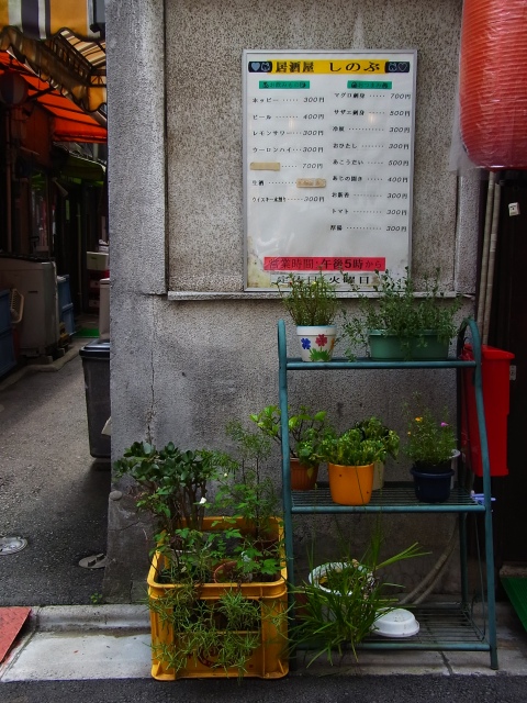 a0087341_15302894.jpg