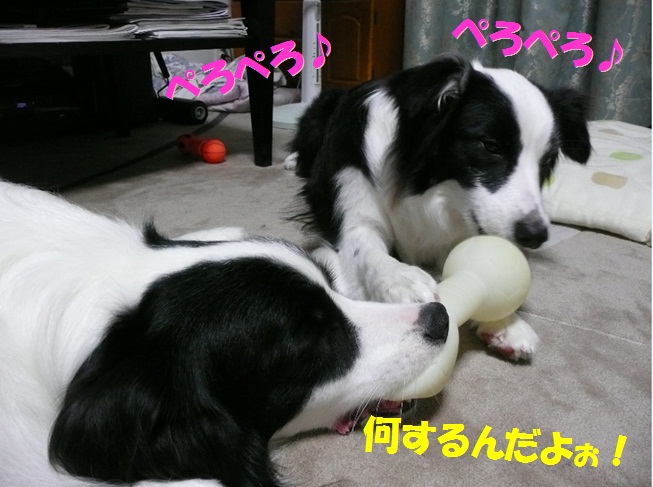c0147241_18365358.jpg