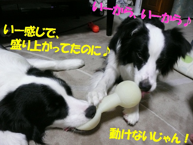 c0147241_1837056.jpg