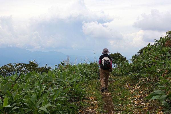 c0081645_22333737.jpg