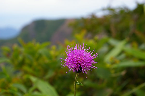 c0081645_22375810.jpg