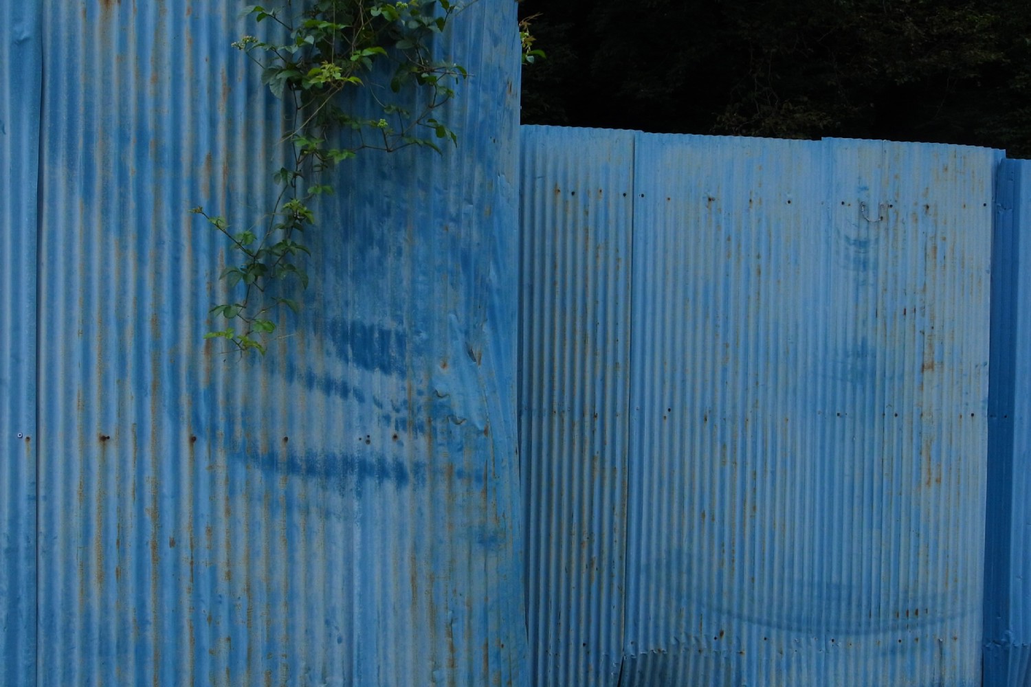 e0009147_1943349.jpg