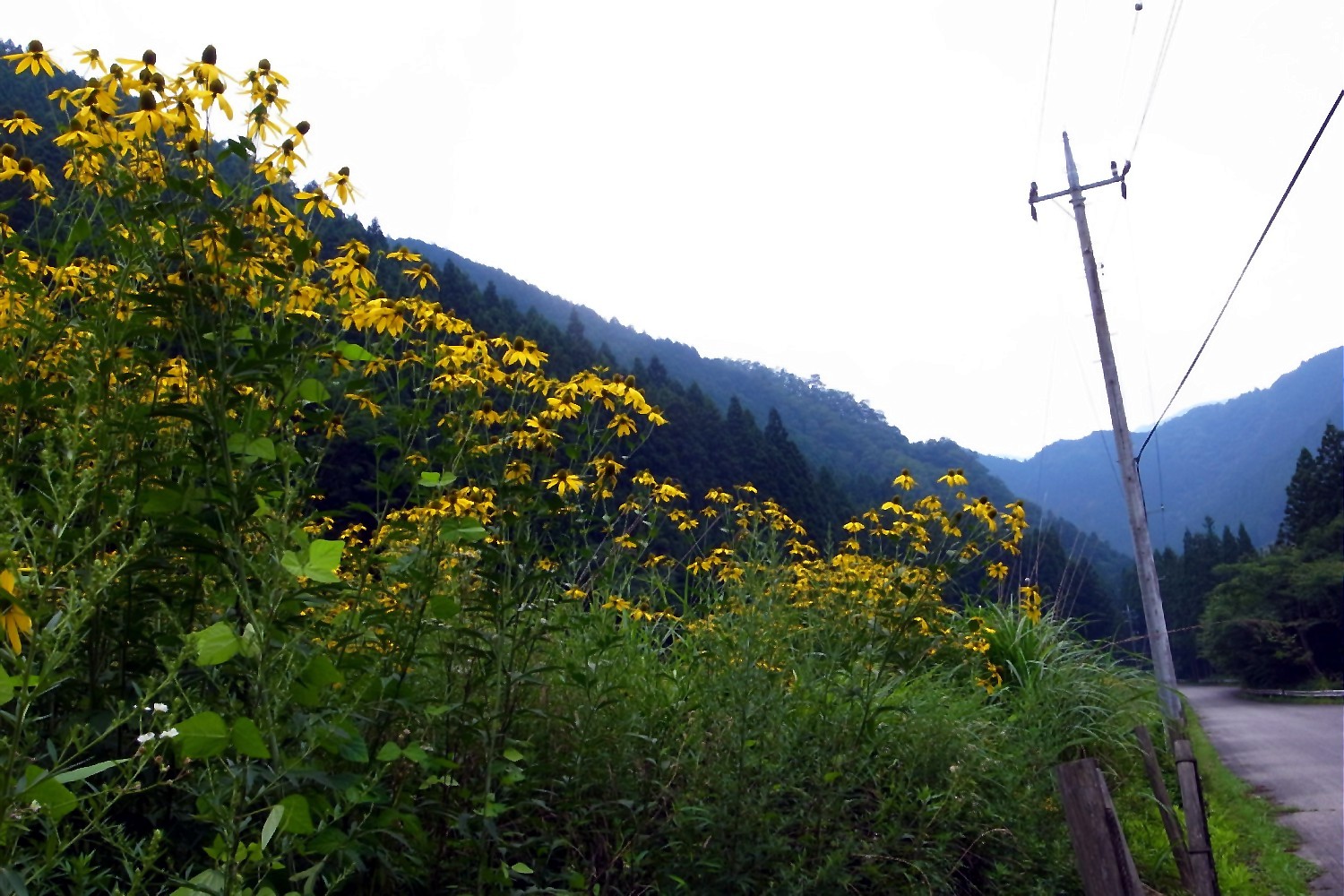 e0009147_7534586.jpg