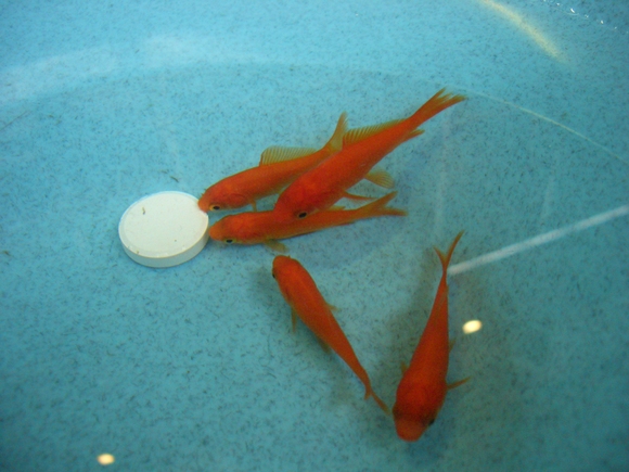 c0214750_15184582.jpg