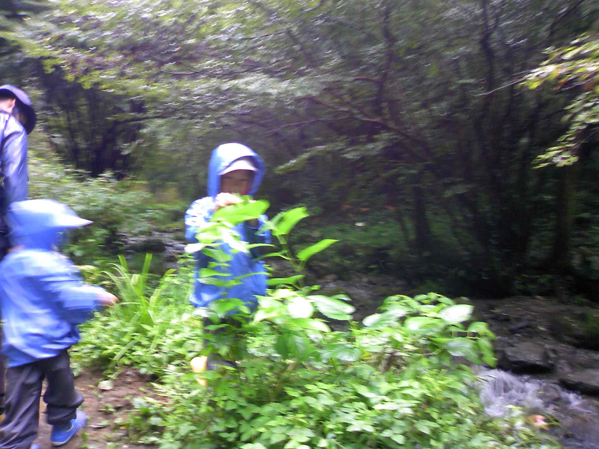 a0119252_1923497.jpg