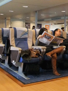 f0190653_1421760.gif