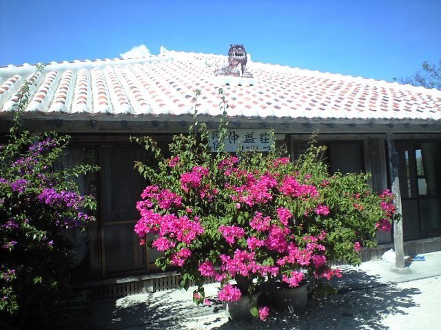 b0002156_2011098.jpg