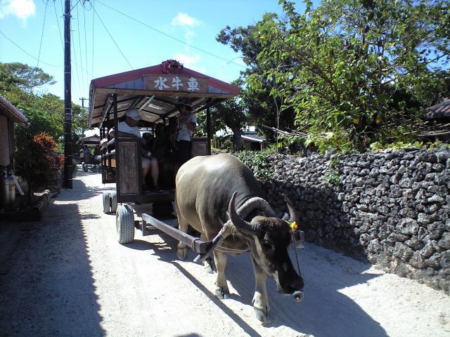 b0002156_20115890.jpg