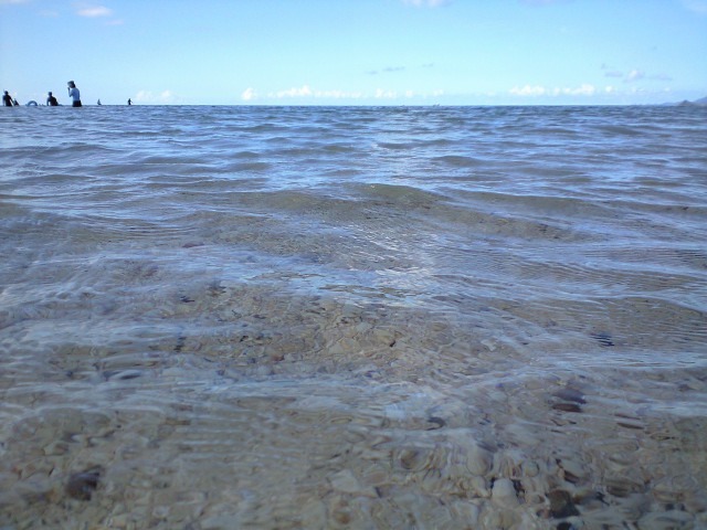 b0002156_2052213.jpg