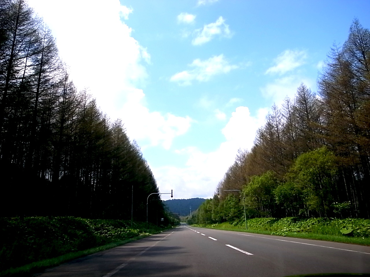 f0134963_21481672.jpg