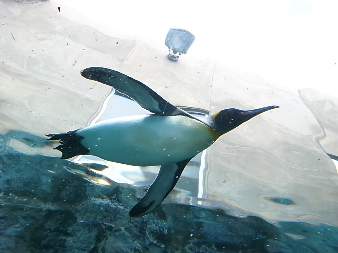 f0134963_21561075.jpg