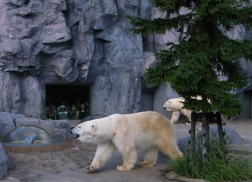 f0134963_2241783.jpg