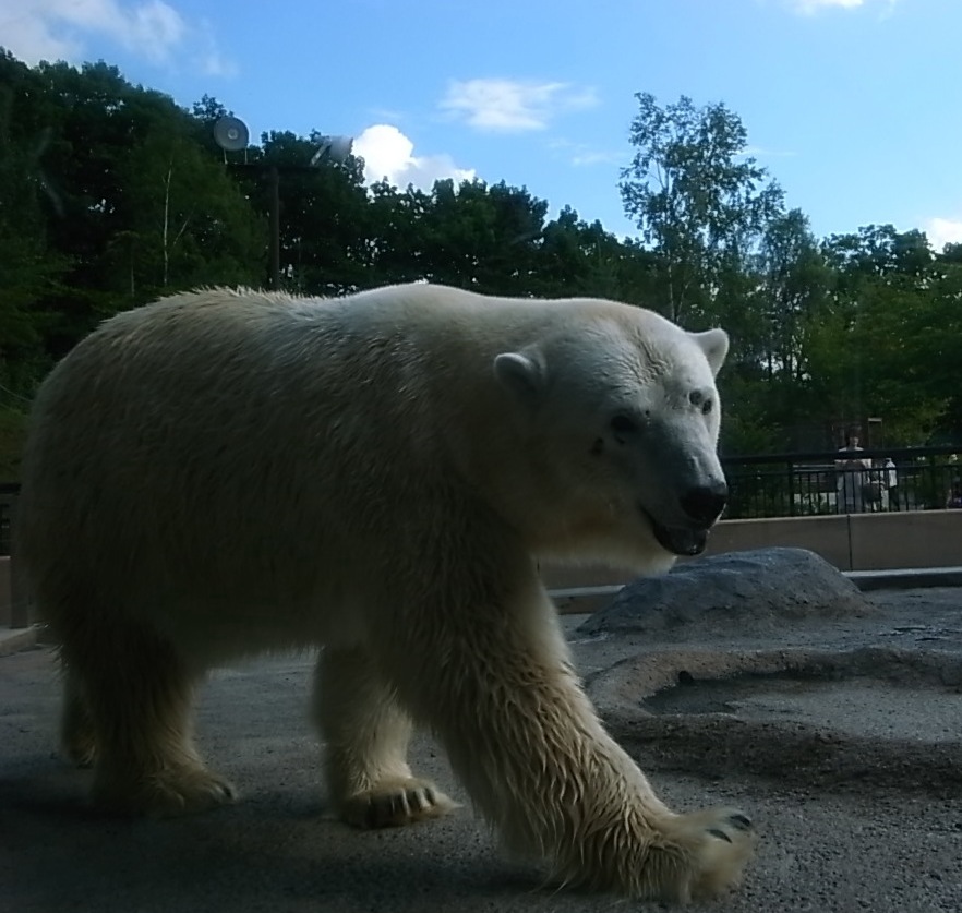 f0134963_2264073.jpg