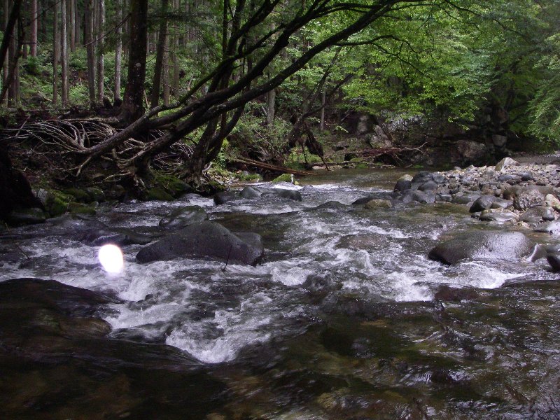 c0214764_21563212.jpg