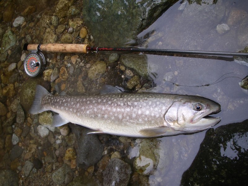c0214764_222783.jpg