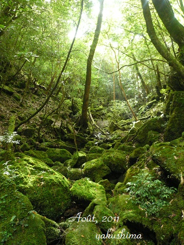 f0200568_18241891.jpg