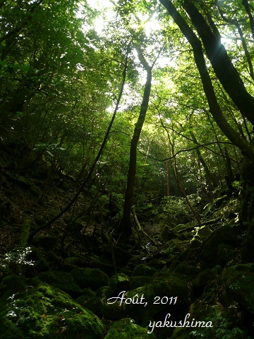 f0200568_18242910.jpg