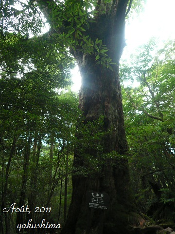 f0200568_1825411.jpg