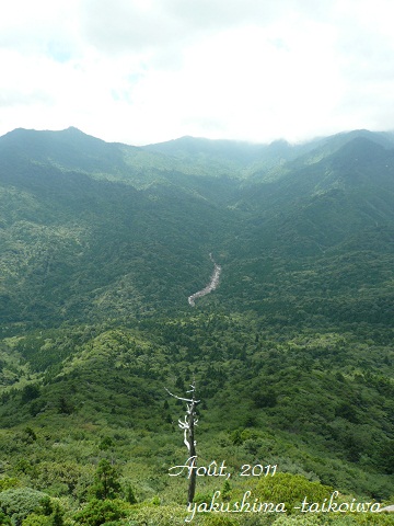 f0200568_18325032.jpg