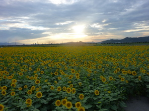 c0216472_14311016.jpg