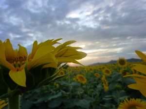 c0216472_14312261.jpg