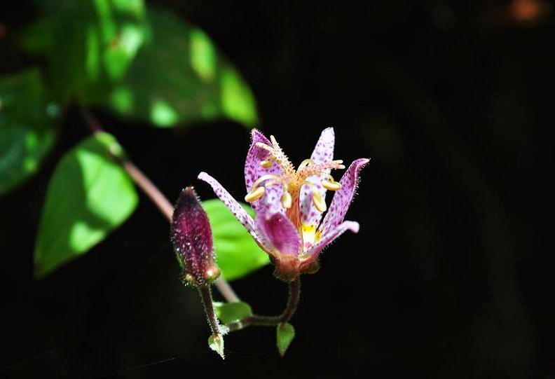 f0220774_12551736.jpg