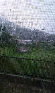 c0228378_8184968.jpg