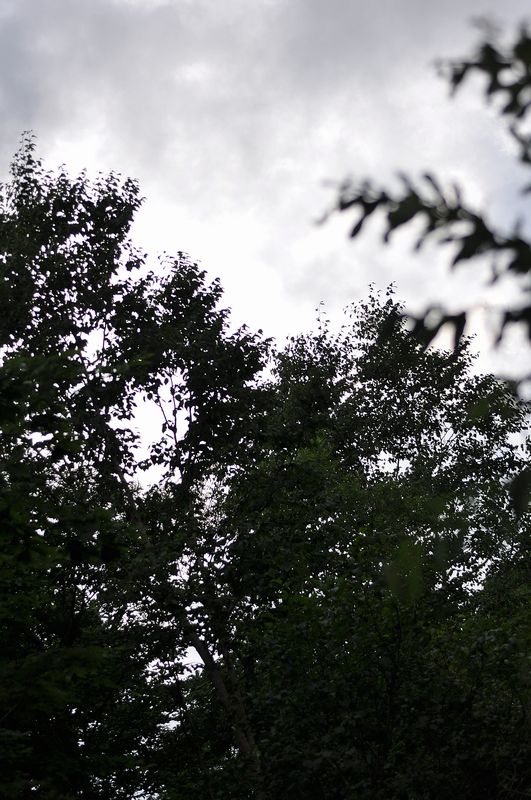 d0164783_1852513.jpg