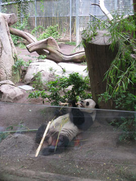 f0068883_15414644.jpg