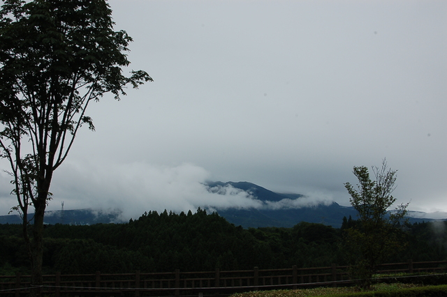 b0203588_180384.jpg