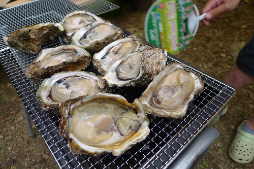 b0226089_10463124.jpg