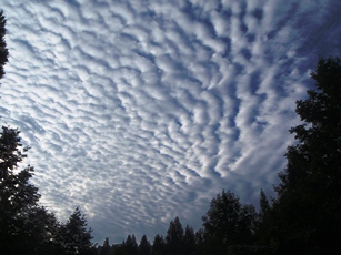 c0018489_01553.jpg