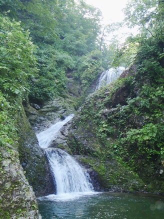 c0018489_20322592.jpg