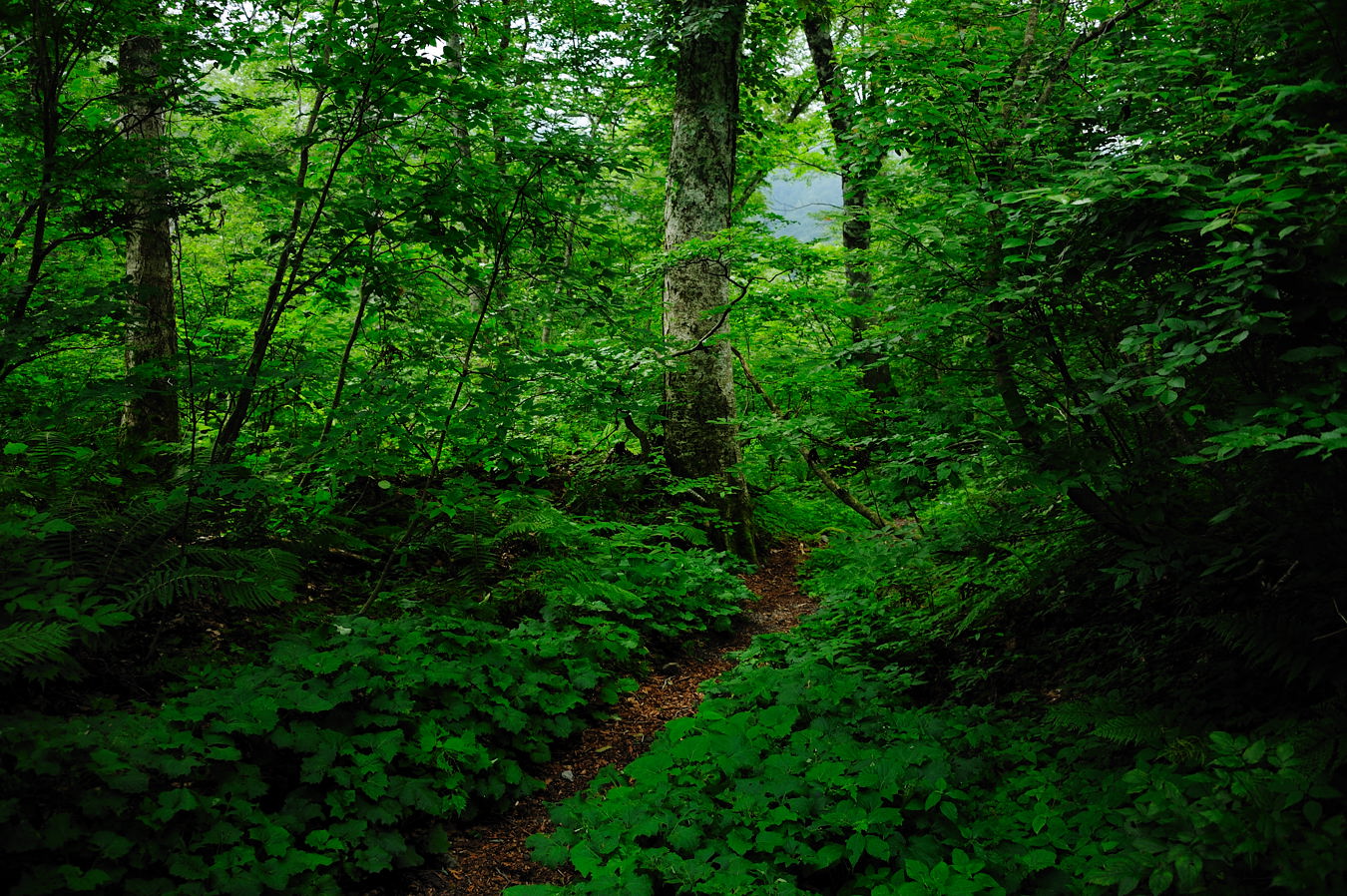 c0138991_11553834.jpg