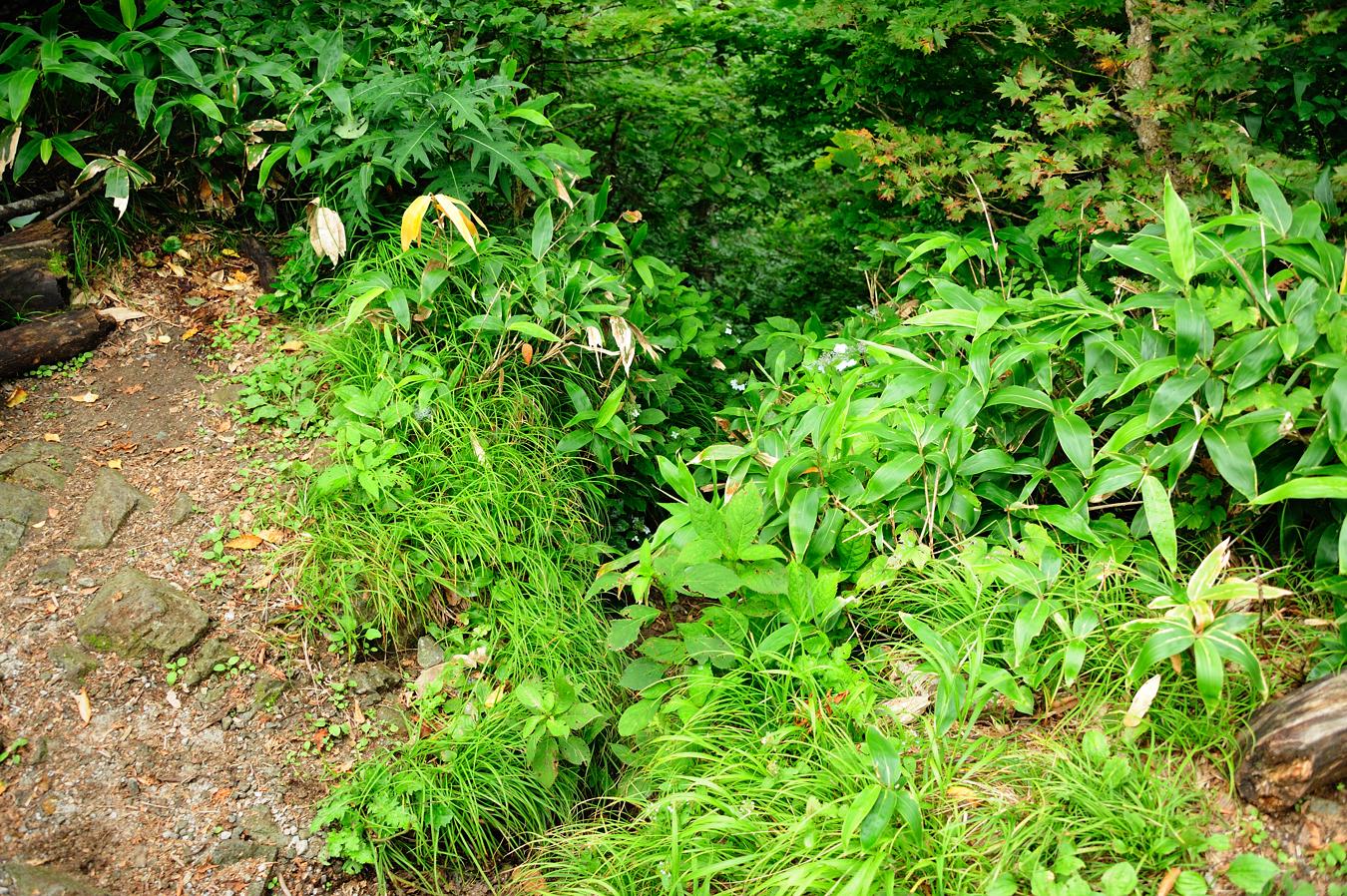 c0138991_12434012.jpg