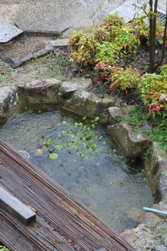 f0222692_2124430.jpg