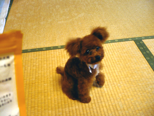a0212194_1116015.jpg