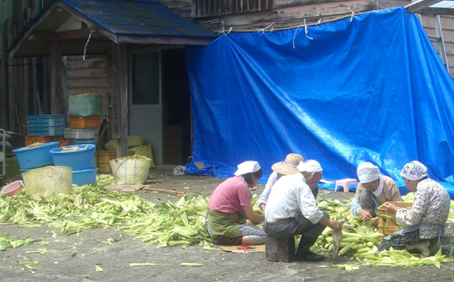 b0099994_1234643.jpg