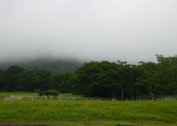 c0125996_18121528.jpg