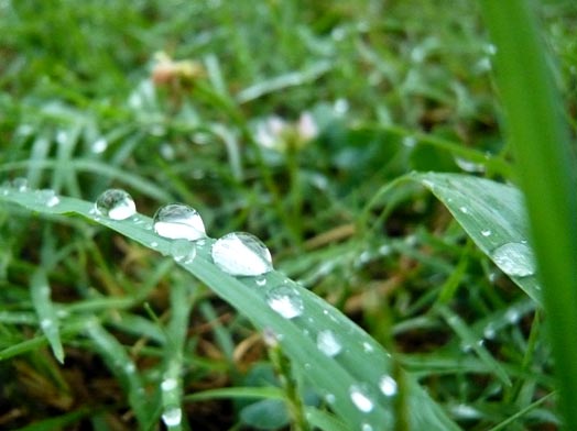 c0124998_2049229.jpg