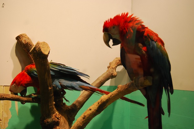 f0210098_21424898.jpg