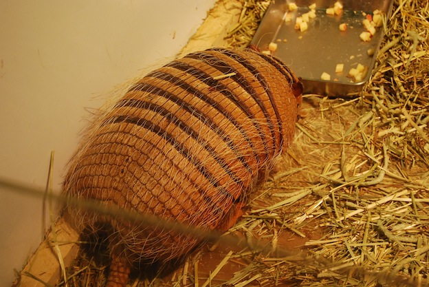 f0210098_21432555.jpg