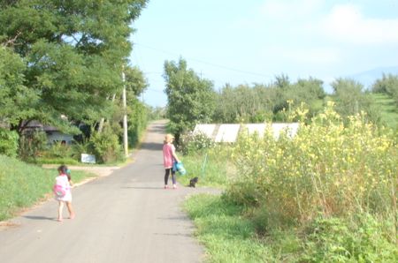 a0011999_0142177.jpg