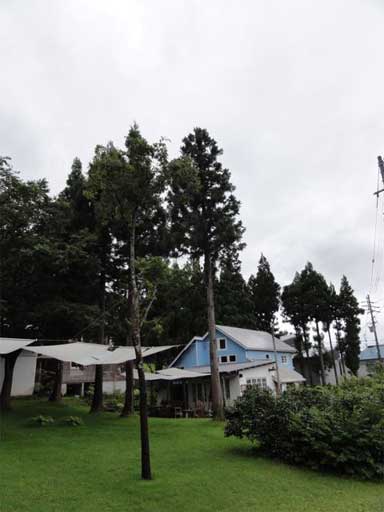 a0061599_744632.jpg