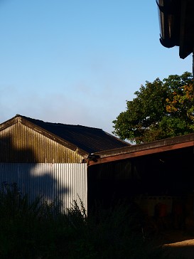 b0110999_16154230.jpg