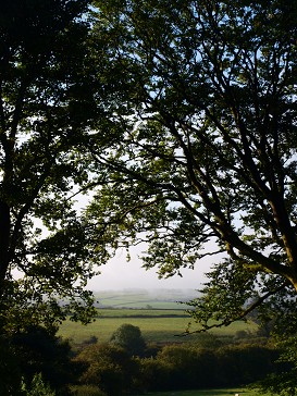b0110999_16155235.jpg