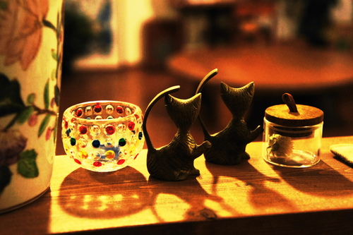 a0211200_235133.jpg