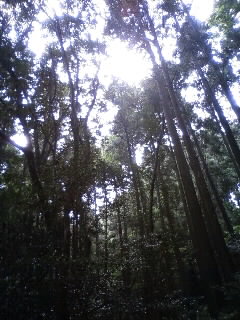e0159905_10483831.jpg