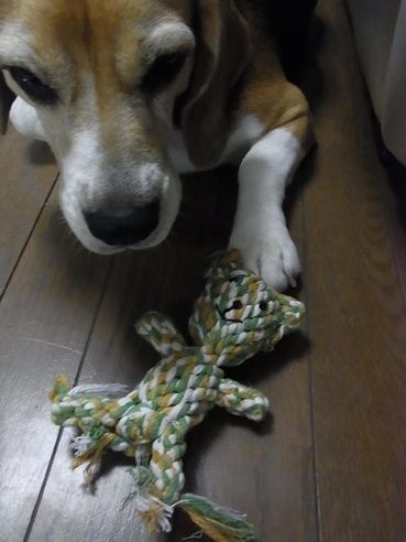 c0205806_2227477.jpg